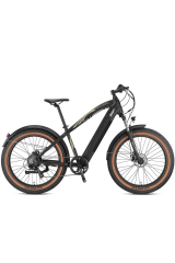 LOOP CRUISER ELEKTRİKLİ BİSİKLET