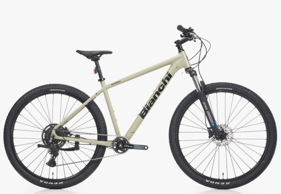 Bianchi Magma 29.2 Cues 1x9 Vites 43 CM 29 Jant Adaçayı Yeşili Siyah MTB Dağ Bisikleti