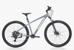 Bianchi Magma 29.2 Cues 1x9 Vites 43 CM 29 Jant Gri Beyaz MTB Dağ Bisikleti